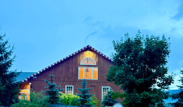 {{brizy_dc_image_alt imageSrc=